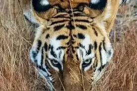 这个世界的真相图片