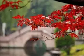 关于“雨”的100句经典诗词图片