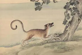 古书中记载的老虎天敌：专杀老虎的动物，酋耳图片