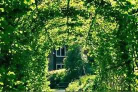 关于高考分数图片