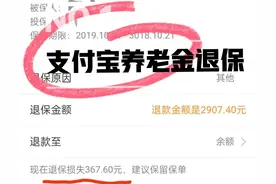 支付宝全民保养老金可以退保图片