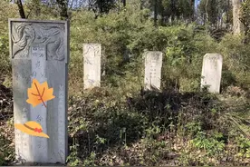 寻根问祖话家族。图片