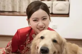 娘家6岁土狗徒步10公里探望出嫁小主人：不放心，突击检查图片