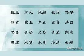 阳光开朗，响亮大气的男孩名图片