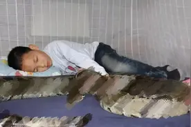 2005年，广东男孩与蛇同吃同住，将蛇当成亲人，蛇真的能养熟吗？图片