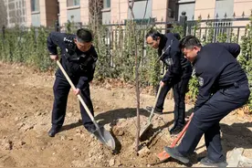 植树添绿正当时图片