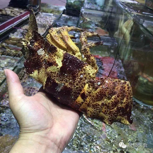 40头的花胶是几级 2025年花胶40头是什么意思?