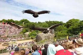 法国普德赋（狂人国）来杭州了你怎么看图片