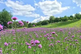 沈阳这些消夏好去处，你去过吗？图片