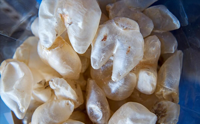 花胶吃多久对皮肤有好处 花胶吃多久对皮肤有好处和坏处