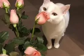 2022旧年最后一天文案图片