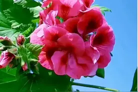 余生，找一个懂你的人，做你一辈子的知己图片