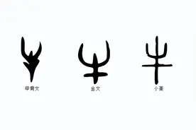 说文解字：牛，十二生肖，俯首甘为孺子牛，牛气冲天图片