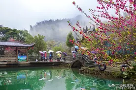 重庆适合老年人旅游的十大景点，你去过几个？图片