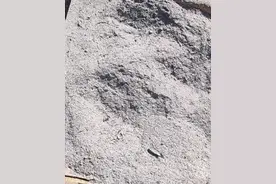 草木灰的功效与作用及副作用图片