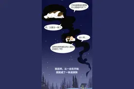 沉浸式体验，寒潮下流浪狗的生活图片