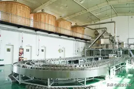 锚定“四梁八柱”打造强力支撑 泾河新城“百亿茯茶产业链”图景渐清晰图片