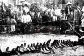 真龙渡劫之营口坠龙事件始末图片