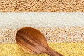 吃米和吃面哪个容易胖？研究者分析了10万中国人图片