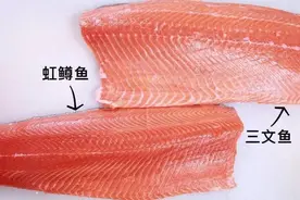 真假三文鱼图片