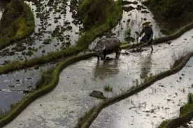 春耕进行时：农村常用的8种农具，能认全的才是真正干过农活的图片