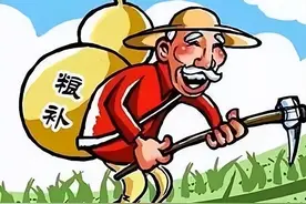 “粮补”再升级？2023年，每一亩地的补贴可能会有“不同”图片