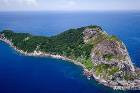 禁止人类踏足的巴西蛇岛有多恐怖？近4000条剧毒蛇，蛇獴能生存吗图片