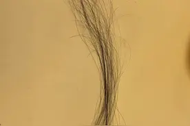 你知道100根头发有多少？图片