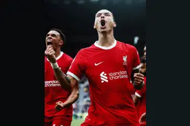 英超-努涅斯替补双响+93分钟绝杀 范戴克染红 十人利物浦2-1纽卡图片