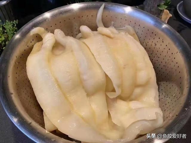 花胶要用什么水泡 2026年花胶要用什么水泡才能煮烂