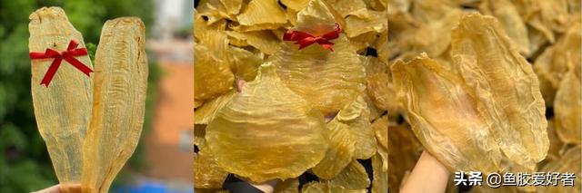 佐罗胶是什么鱼的鱼胶 2026年佐罗鱼胶的营养价值