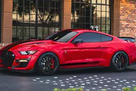 新车 | 海外售约116万，福特“野马”Shelby GT500KR发布，比GT-R猛图片