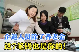 企退人员的福利待遇，不只有一份基本养老金，7笔钱也能领图片