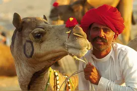 印度的“七寸”在哪？掐断西里古里走廊，就等于打着了印度的七寸图片