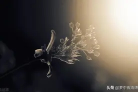 魔性执着，天蝎座图片