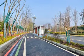 “变身”后的蜀龙大道198段更加美丽！新增人行绿道、最美公交站图片