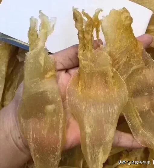 巴沙片鱼胶 巴沙鱼胶的食用方法 巴沙片鱼胶 巴沙鱼胶的食用方法