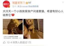大冷天小男孩挨家挨户求人收养小橘猫：您家要猫吗？它很乖很粘人图片