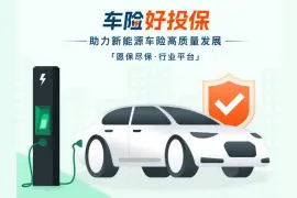 新能源车投保难：国家金融监管总局出手，“车险好投保”平台上线图片