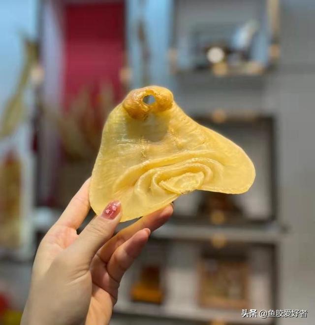 赤嘴鳘鱼胶和鳕鱼胶哪个好 2026年赤嘴鱼胶和鳘鱼胶有什么区别