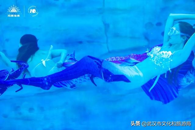泳池“海王”！水中按摩！玛雅还能这么玩？！