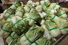 2022入冬时间表已出，记得：吃3菜，食2果，忌1味，平安度过89天图片