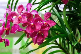 终于知道头条爆款的标准了，自己对照一下，看看有多少爆款图片