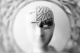 怎样区分神经症、边缘型人格与精神病？《精神分析诊断》为你解答图片