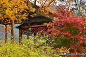 南北朝经典诗歌推荐（1）谢眺、庾信与鲍照诗歌图片