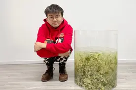 如何在食堂捞到最多的紫菜蛋花汤？亲测5种方法后食堂阿姨叫我滚图片