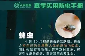 飞虫落身上不要随意拍打 夏季应这样防虫→图片