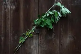 五月，扎一束草，幻化成人形，是从防瘟驱虫到驱魔挡鬼的生活演化图片