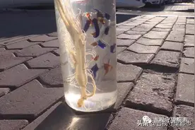 男子两万多买六瓶人参酒，事后质疑为三无产品欲投诉维权图片