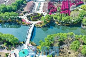 “520”一起游“花海”，济南这个景区有点浪漫图片